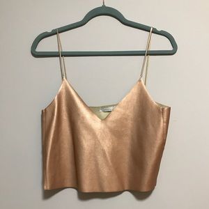 Zara bronze crop top